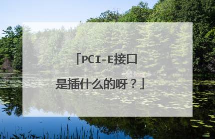 PCI-E接口是插什么的呀?