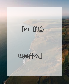 PE 的意思是什么