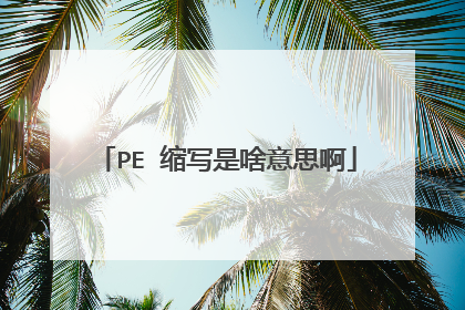 PE 缩写是啥意思啊