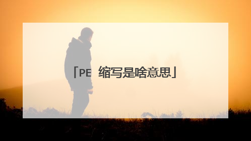PE 缩写是啥意思