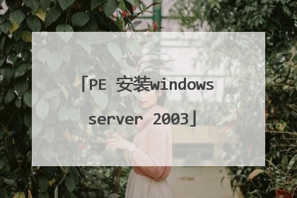 PE 安装windows server 2003
