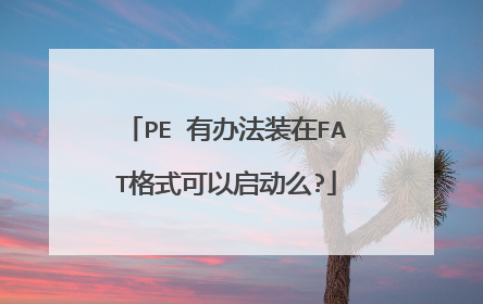 PE 有办法装在FAT格式可以启动么?