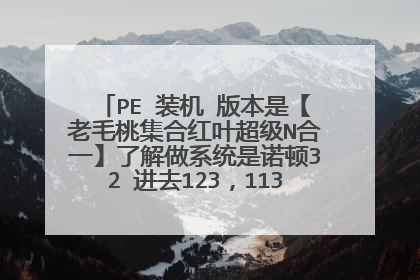 PE 装机 版本是【老毛桃集合红叶超级N合一】了解做系统是诺顿32 进去123,113装机 求装机步骤