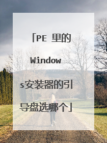 PE 里的Windows安装器的引导盘选哪个