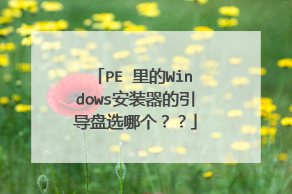 PE 里的Windows安装器的引导盘选哪个??