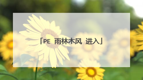 PE 雨林木风 进入