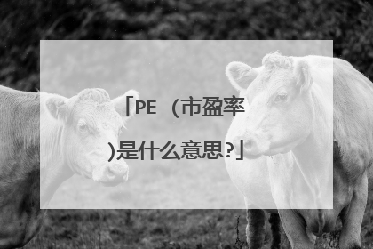 PE (市盈率)是什么意思?