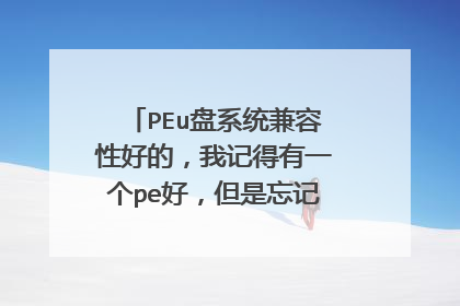 PEu盘系统兼容性好的,我记得有一个pe好,但是忘记名字了,四个字的