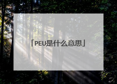 PEU是什么意思