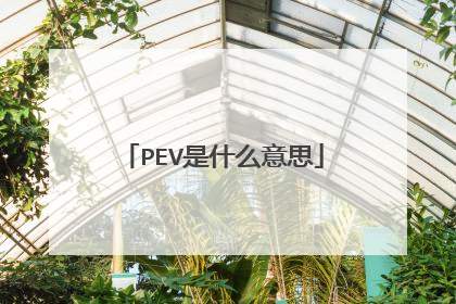 PEV是什么意思