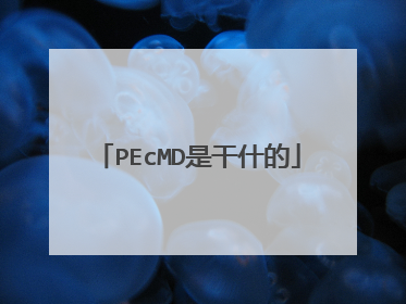 PEcMD是干什的