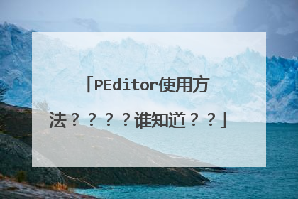 PEditor使用方法????谁知道??