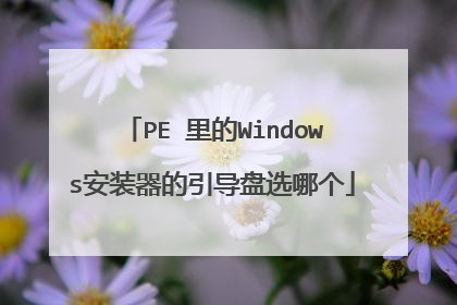 PE 里的Windows安装器的引导盘选哪个