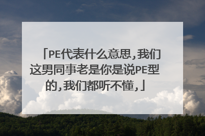 PE代表什么意思,我们这男同事老是你是说PE型的,我们都听不懂,