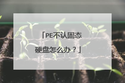 PE不认固态硬盘怎么办?