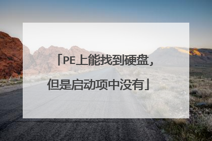 PE上能找到硬盘,但是启动项中没有