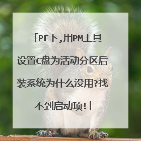 PE下,用PM工具设置C盘为活动分区后装系统为什么没用?找不到启动项!