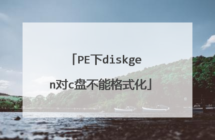 PE下diskgen对c盘不能格式化