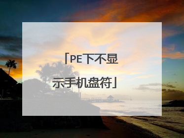 PE下不显示手机盘符