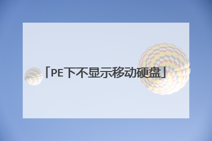 PE下不显示移动硬盘