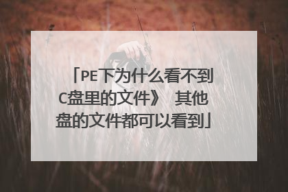 PE下为什么看不到C盘里的文件》 其他盘的文件都可以看到