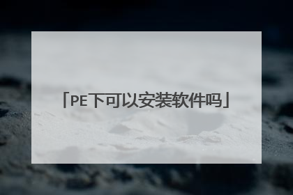 PE下可以安装软件吗