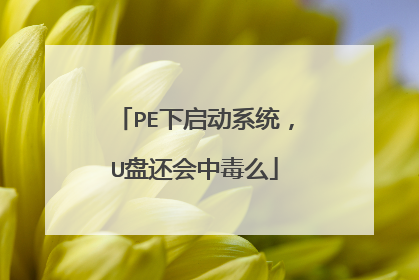 PE下启动系统,U盘还会中毒么