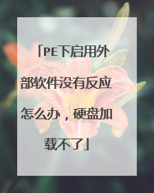 PE下启用外部软件没有反应怎么办,硬盘加载不了