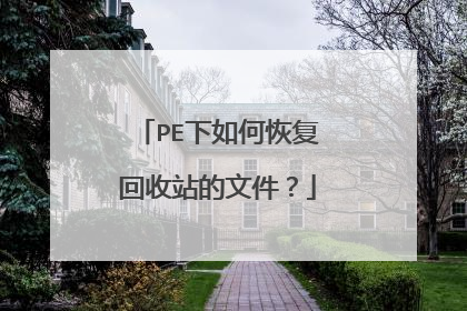 PE下如何恢复回收站的文件？