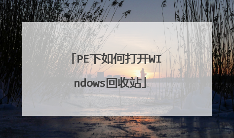PE下如何打开WIndows回收站