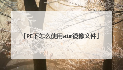 PE下怎么使用wim镜像文件