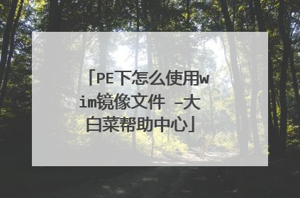 PE下怎么使用wim镜像文件 –大白菜帮助中心