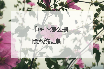 PE下怎么删除系统更新
