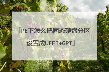 PE下怎么把固态硬盘分区设置成UEFI+GPT