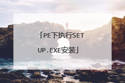 PE下执行SETUP.EXE安装