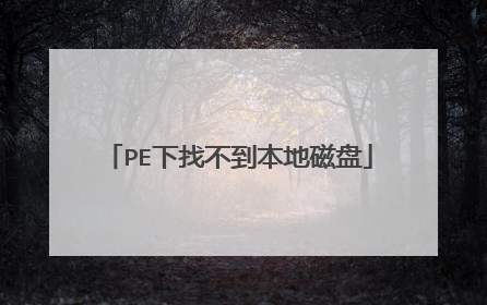 PE下找不到本地磁盘