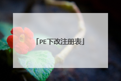 PE下改注册表