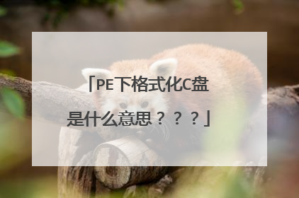 PE下格式化C盘是什么意思???
