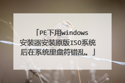 PE下用windows安装器安装原版ISO系统后在系统里盘符错乱。