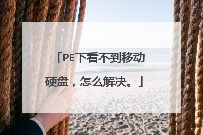 PE下看不到移动硬盘,怎么解决。