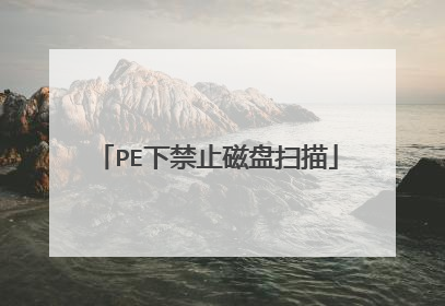 PE下禁止磁盘扫描
