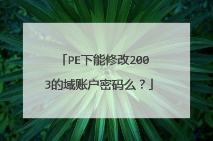 PE下能修改2003的域账户密码么？