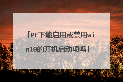 PE下能启用或禁用win10的开机启动项吗