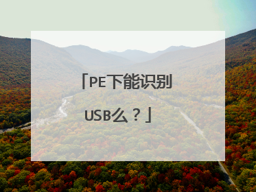 PE下能识别USB么？