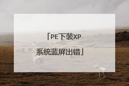 PE下装XP系统蓝屏出错