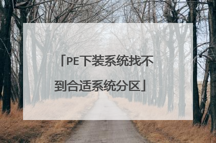PE下装系统找不到合适系统分区