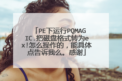 PE下运行PQMAGIC.把磁盘格式转为ex!怎么操作的,能具体点告诉我么。感谢