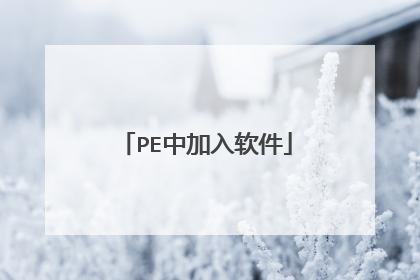 PE中加入软件