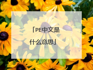 PE中文是什么意思