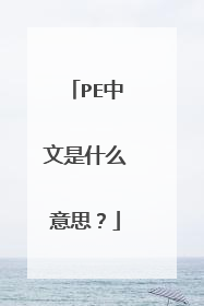 PE中文是什么意思？